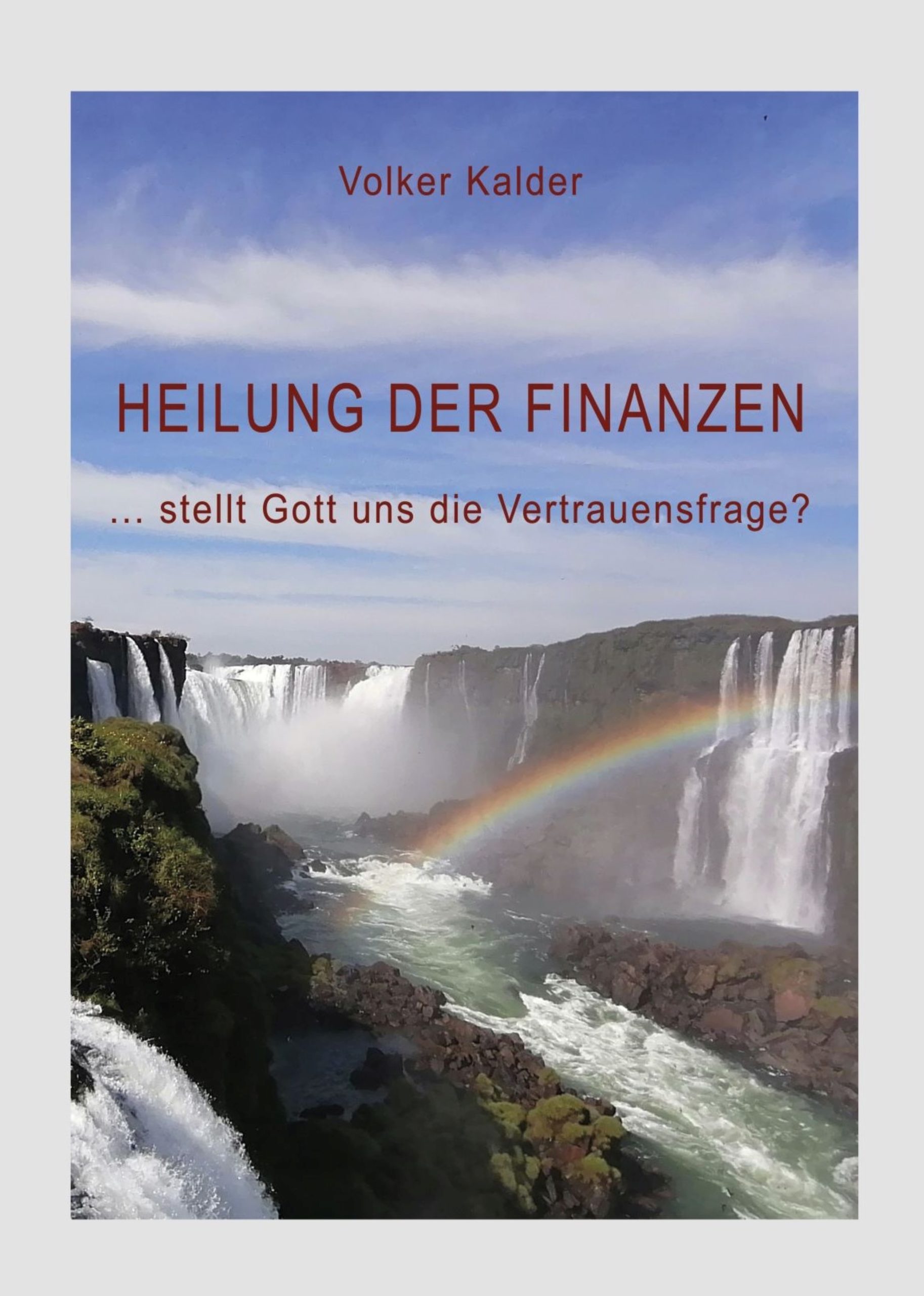 Cover Heilung der Finanzen Volker Kalder