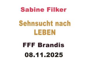 20251108 - S.Filker - FFF Brandis 08.11.2025